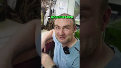  Cegły w akwarium.  Restart zbiornika