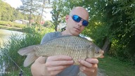 Jak łowić Karasie w upale ? / Karasie nie jedzą gówna i lubią upały ? / Method Feeder