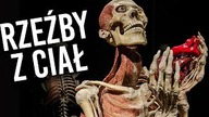 Rzeźby z ludzkich CIAŁ - czym jest plastynacja? [TOPOWA DYCHA]