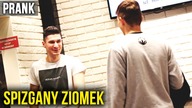 Spizgany ziomek