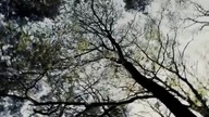 Ostatni pociag