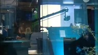 TVN - Reklamy, zapowiedzi, pogoda 17. 05. 2011