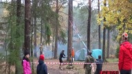 Tymczasem przy wycince drzewa
