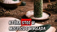 #rytuały #magia 