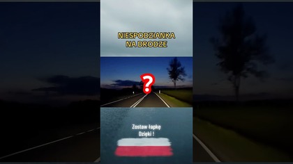 Jedziesz spokojnie ciemność, cisza i nagle coś na drodze  Zobacc do końca#droga #noc #uwaga