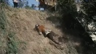 1960 Terrore della maschera rossa - Terror czerwonej maski DVDRip napl