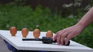 10 Crazy Experiments