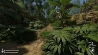 Green Hell Jak przetrwać pierwszą noc w dziczy Gameplay 02