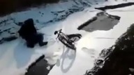 Rowerowy kaskader