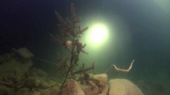 Moszna Wieś - nurkowanie z Best Divers