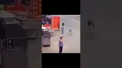 #Patrz na to! #zabawne #humor #dog #michaeljackson #smoothcriminal #viral #funny #music #shorts #yt