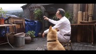  Batong _ Przyjaźń na zawsze! - Hachi - Zhong Quan Ba Gong (2023) Lektor 1080p
