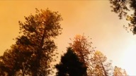 Fire. in. Paradise. 2019. MULTi. 720p. WEB-DL. x264-KLiO