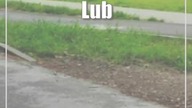 Lublin: Wybudują brakującą ścieżkę rowerową wzdłuż ul.  Abramowickiej