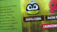 HAUL ZAKUPOWY SPOŻYWCZY Z BIEDRONKI I ZBIERAMY NAKLEJKI NA ŚWIEŻAKA