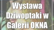 Lublin: Wystawa Dziwoptaki w Galerii OKNA