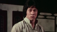 Zemsta. tygrysa. z. shaolin. 1976. Lektor.pl