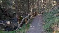 Nad Bieszczadzkim potokiem .... :) #bieszczady #wbieszczady #biesy #wbiesy #góry #wypoczynek
