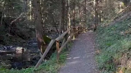 Nad Bieszczadzkim potokiem .... :) #bieszczady #wbieszczady #biesy #wbiesy #góry #wypoczynek