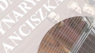 Weterynarz leczenie psów leczenie kotów Suszec Przychodnia weterynaryjna św.  Franciszka lek.  wet.  Tomasz Smołka