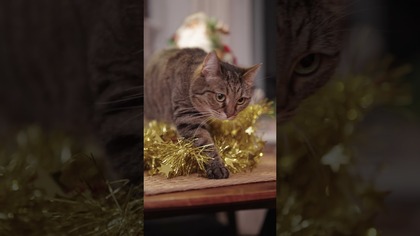 SPRZĄTANIE NIGDY NIE BYŁO TAK PROSTE