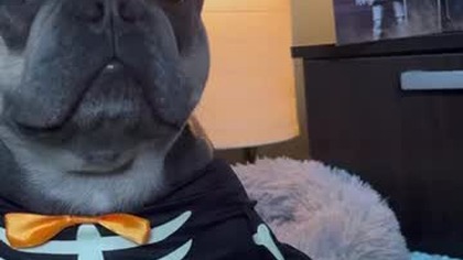 Cukierek !, albo psikus !