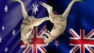 Australia vs Nowa Zelandia 2020 | Por&oacute;wnanie armii