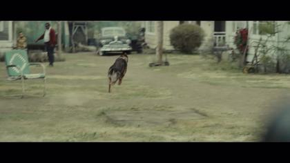 Biały pies.  lektor