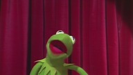 The. Muppet. Show. S01E23 [10Bit] [1080p. WEB-DL. H265-AS76-FT] [Napisy PL]