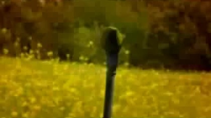 Ester Hicks on The Secret