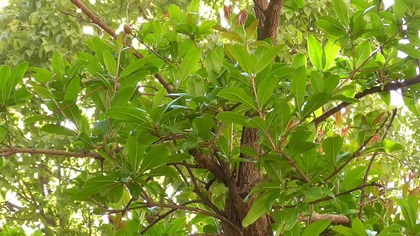 Abraham Hicks Im Lepiej Się Czujesz Tym Bardziej Przyzwalasz Lektor PL 1080p