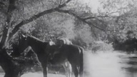 1934 The Star Packer - Gang Cienia WEB-Rip XviD AC3 napl
