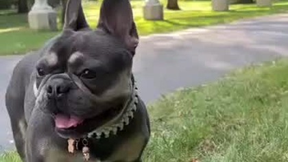 Pobiegamy po parku!?