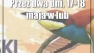 Festiwal Przyrody w Lublinie