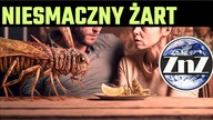 Będziesz jadł robaki i będziesz szcześliwy