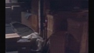 Ghoulies IV (1994)