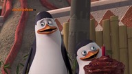 Pingwiny z Madagaskaru - SE01E04 Operacja Pluszak - Dzień Kr&oacute;la Juliana