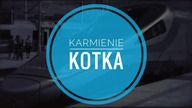 Karmienie kotka
