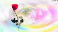HIMNO AL AMOR