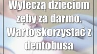 Wyleczą dzieciom zęby za darmo.  Warto skorzystać z dentobusa