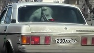 Białe Ferrari