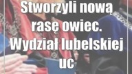 Stworzyli nową rasę owiec.  Wydział lubelskiej uczelni świętuje 70-lecie