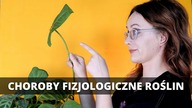 Choroby fizjologiczne doniczkowych ROŚLIN domowych