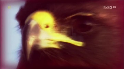 Dzieciństwo zwierząt (2015) [Lektor PL]