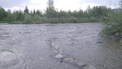 River Flow for Focus &bull; Continuous Natural Water Sound (Day to Dusk)
