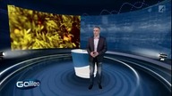 Galileo 429