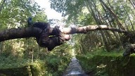 Pokonywanie przeszkód terenowych wisząc - ćwiczenie na wysokości