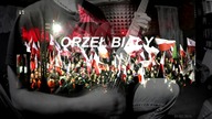 ORZEŁ BIAŁY - 11 listopada