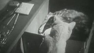 Prywatne życie kotów (1944)