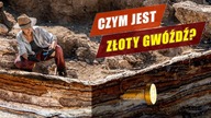 Historia Ziemi - paleontologiczne pojęcia, które powinieneś znać!